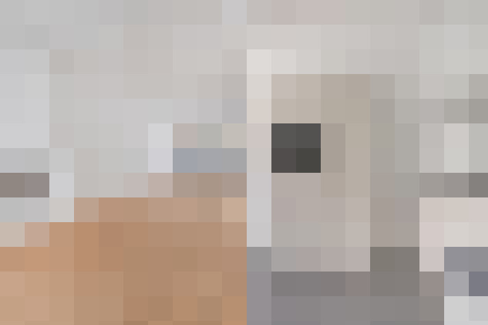  / #31
