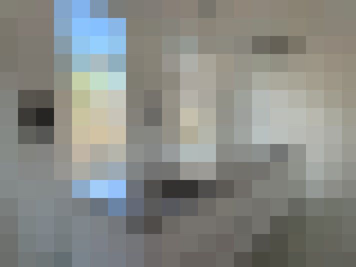  / #17