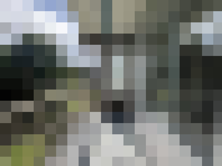 / #16