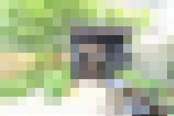  / #19