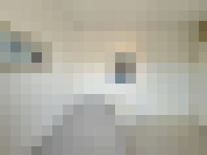  / #21