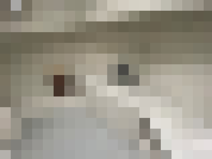  / #13