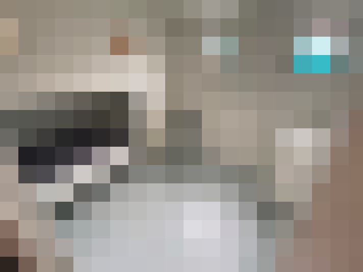  / #18