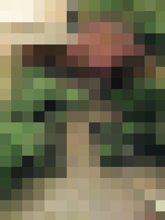  / #21