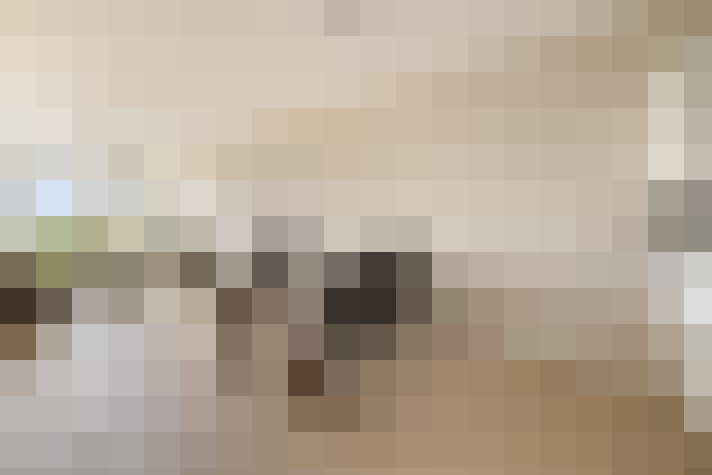  / #7