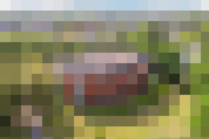  / #16