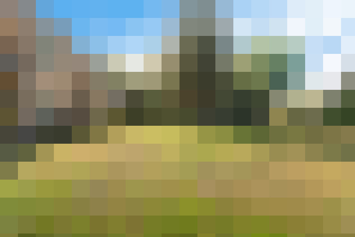  / #16
