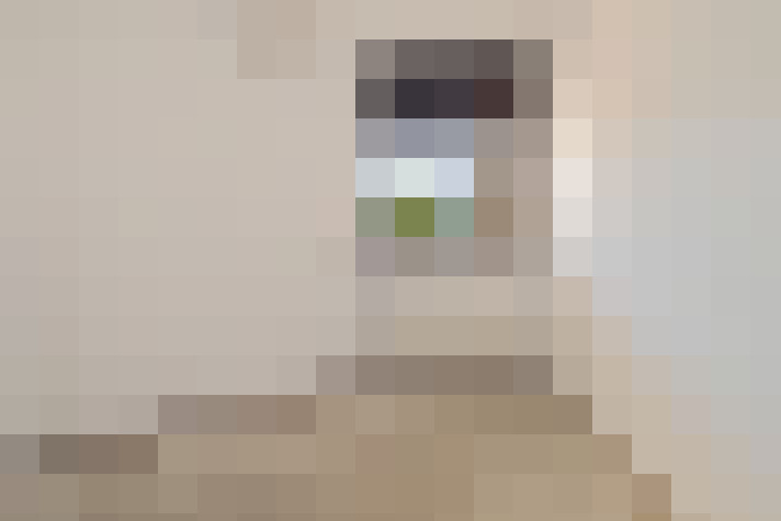  / #23