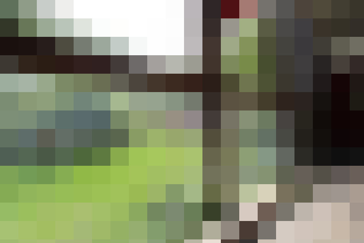  / #17