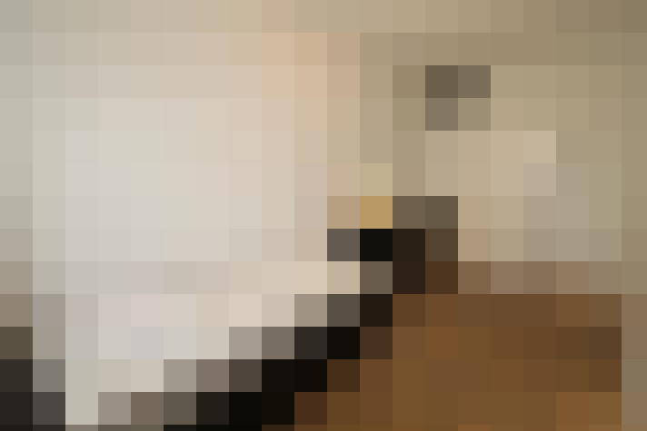  / #16
