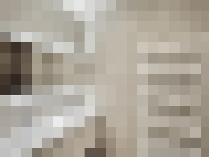  / #23