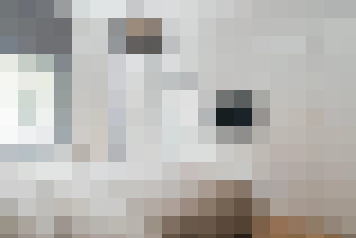 / #12