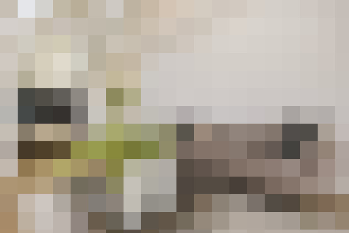  / #7