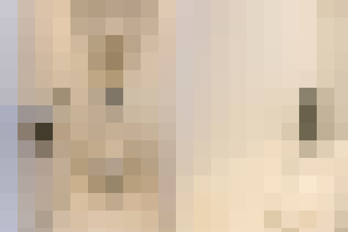  / #23