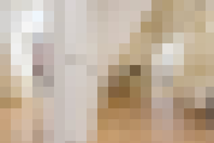  / #19