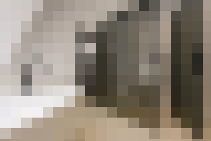  / #17