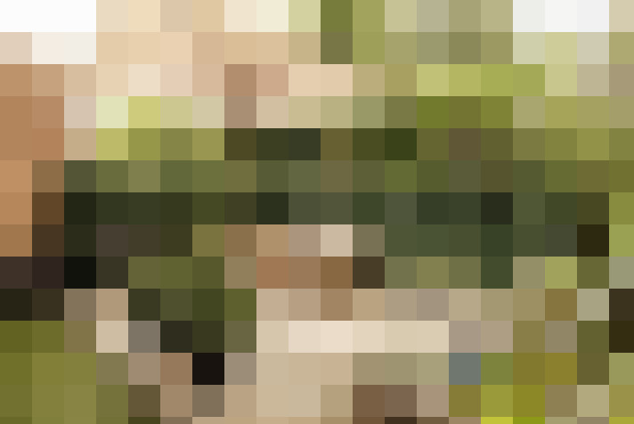  / #20