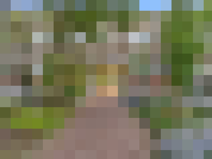  / #15