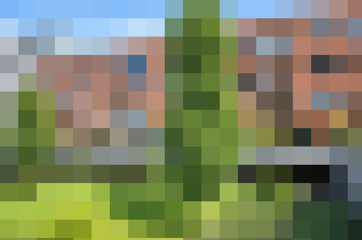  / #17