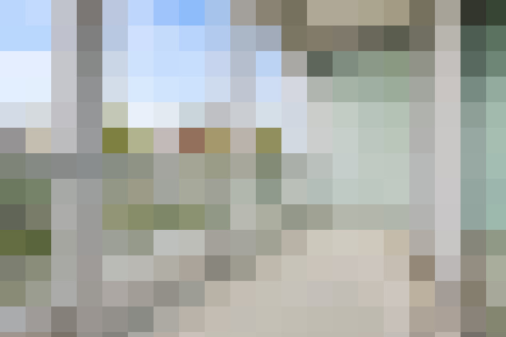  / #19