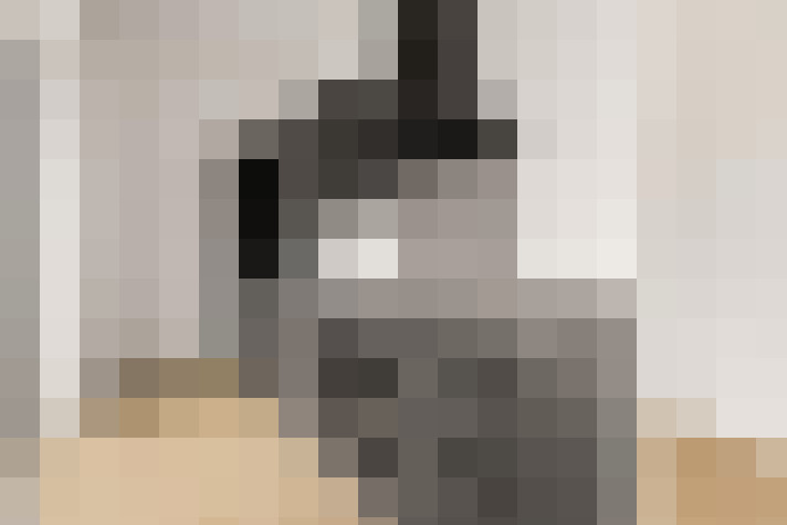  / #8