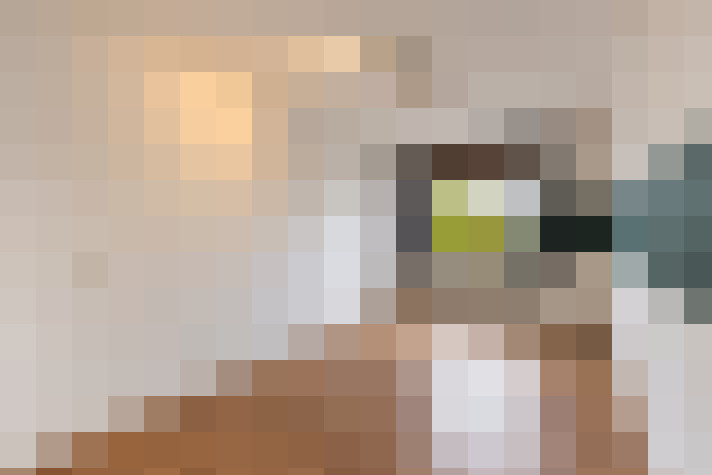  / #9