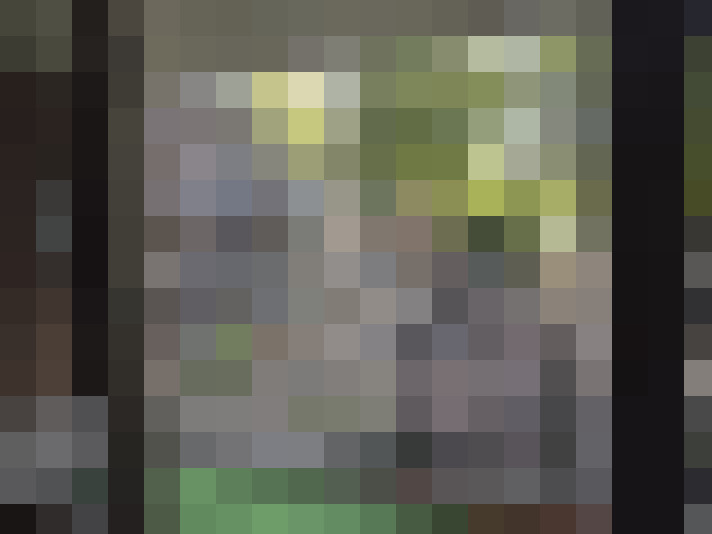  / #22