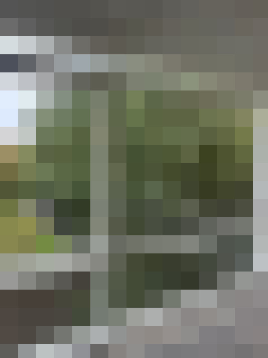  / #14