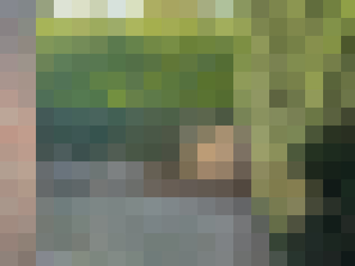  / #16