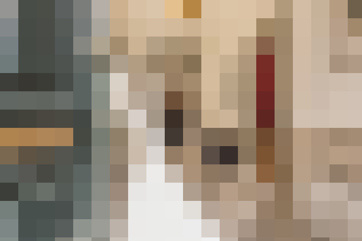  / #16