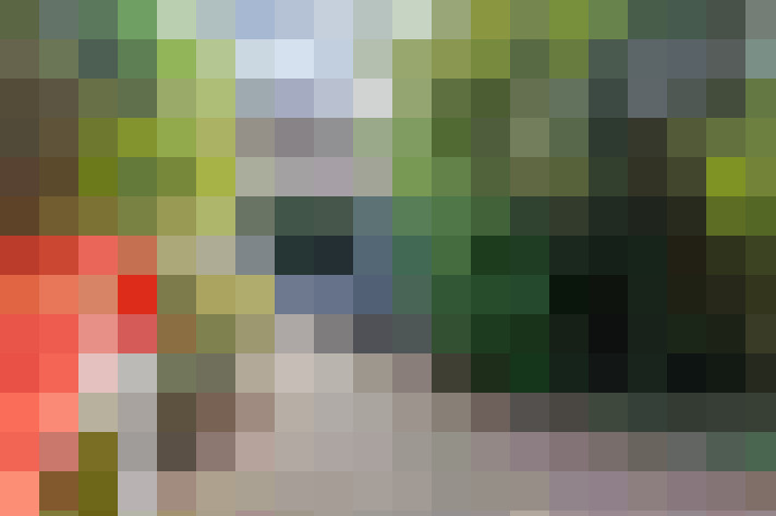  / #16