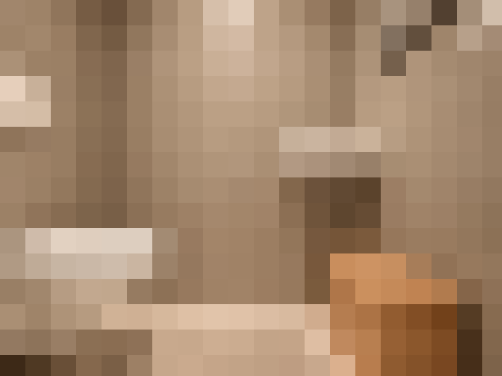  / #31