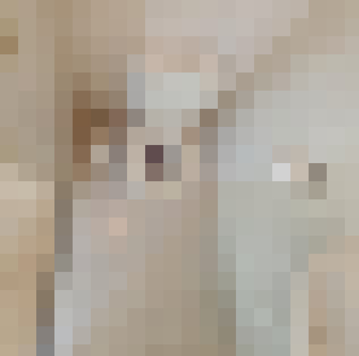  / #11