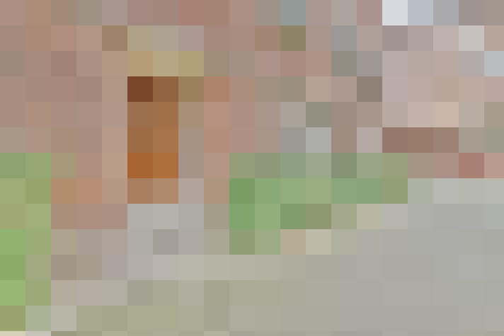  / #14