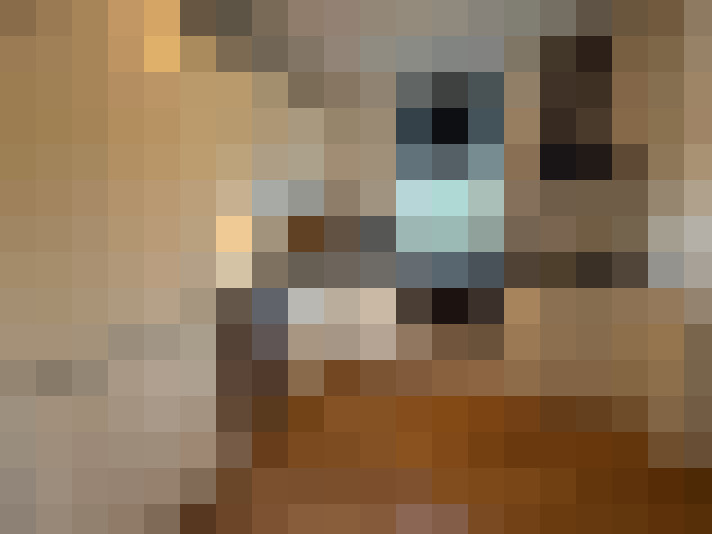 / #8