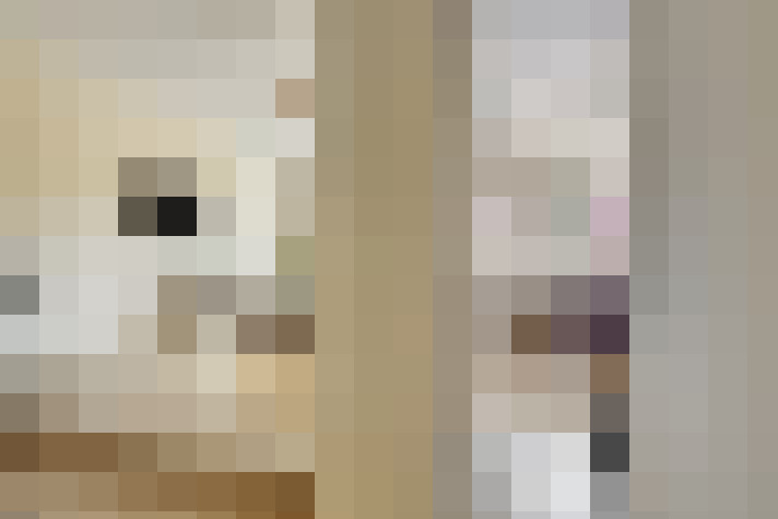  / #19