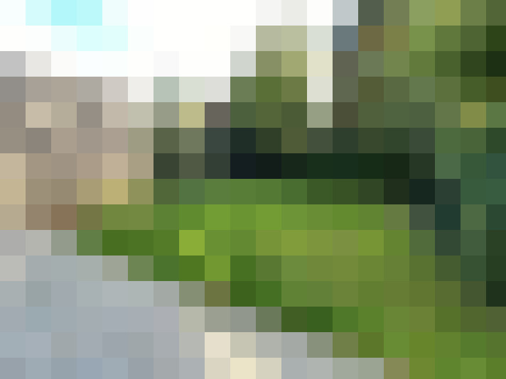  / #16