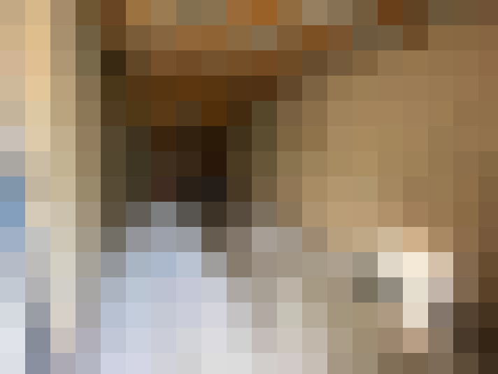 / #15