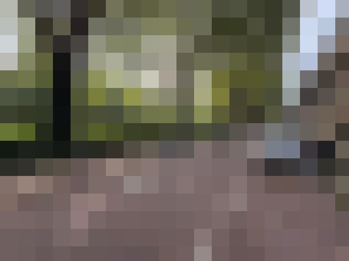  / #13