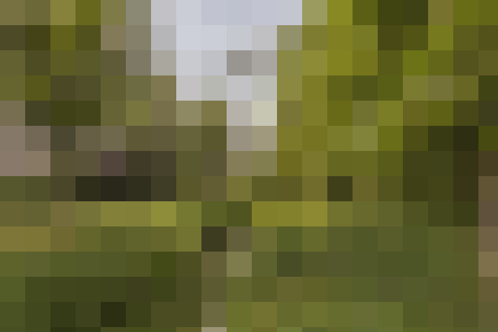  / #20