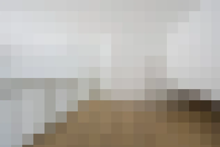  / #14