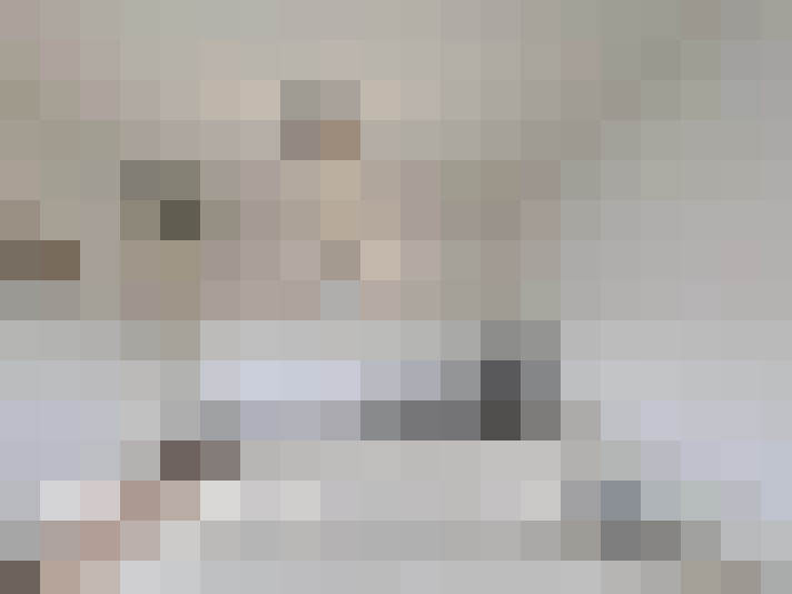  / #23