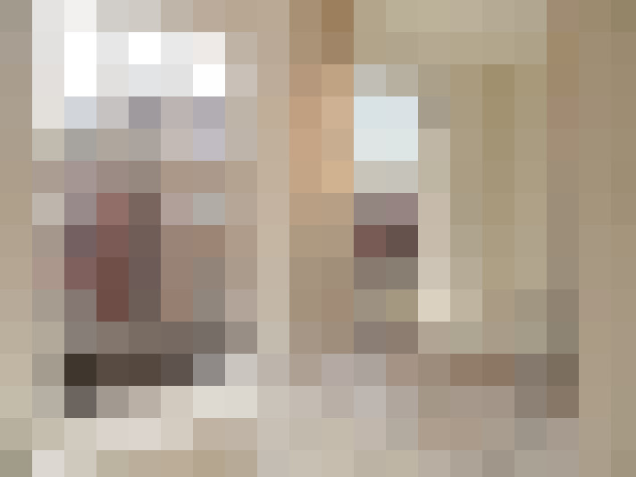  / #12