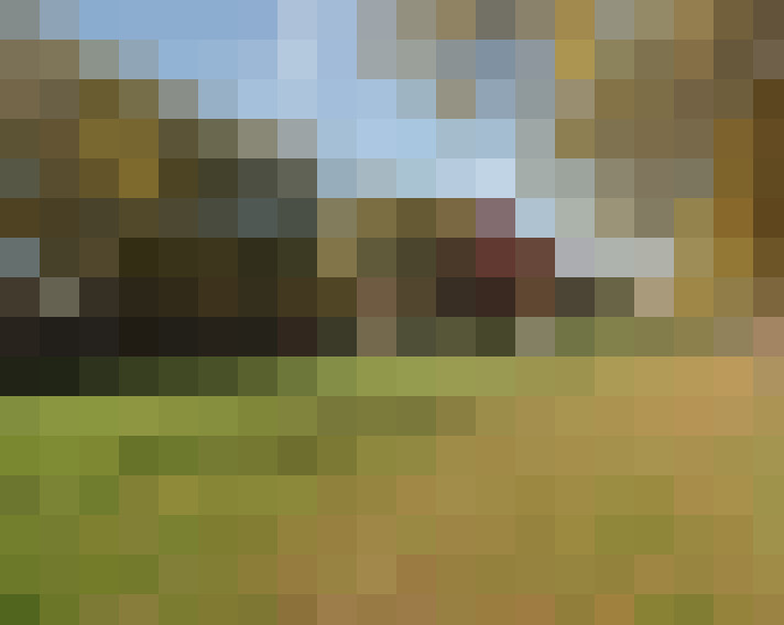  / #15