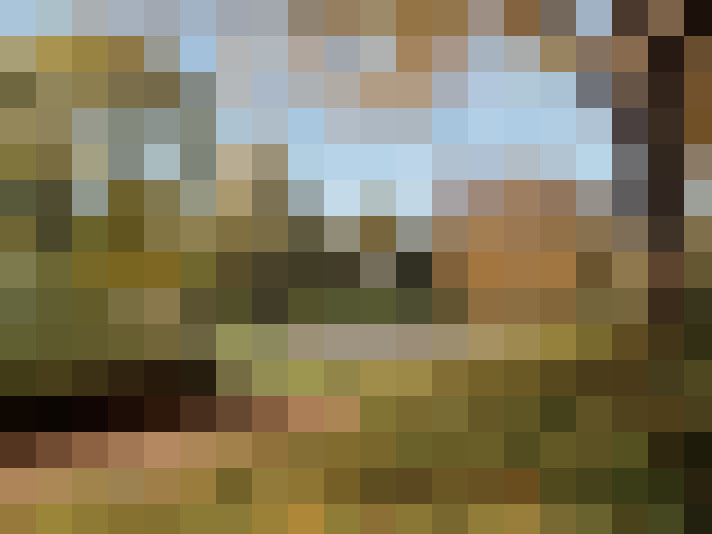  / #17