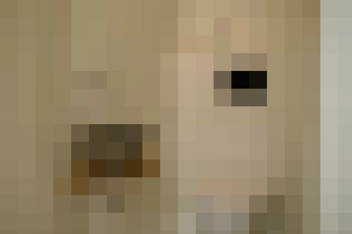  / #20