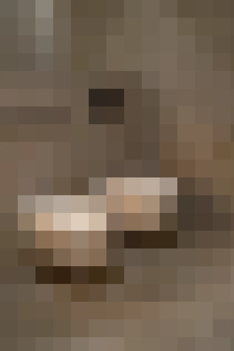  / #19