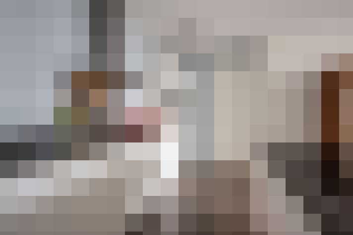  / #18