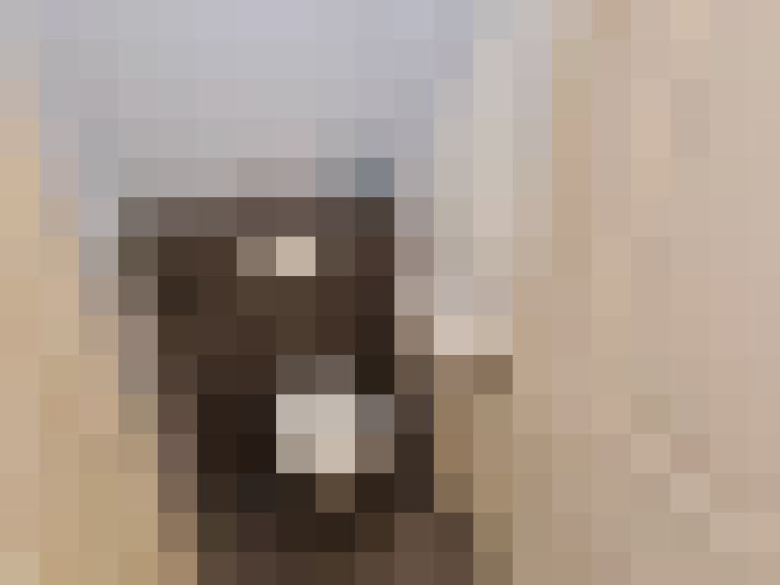  / #15