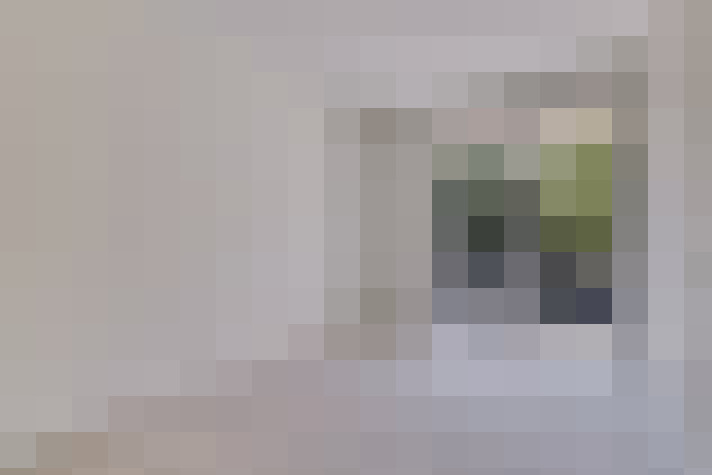  / #12
